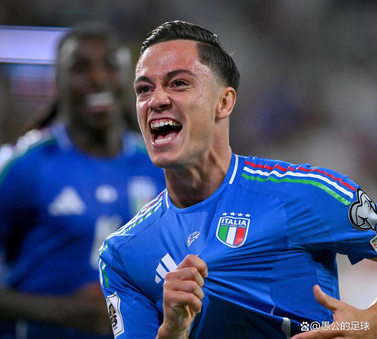 霸王龙杀死鲨齿龙视频 霸王龙杀死鲨齿龙视频